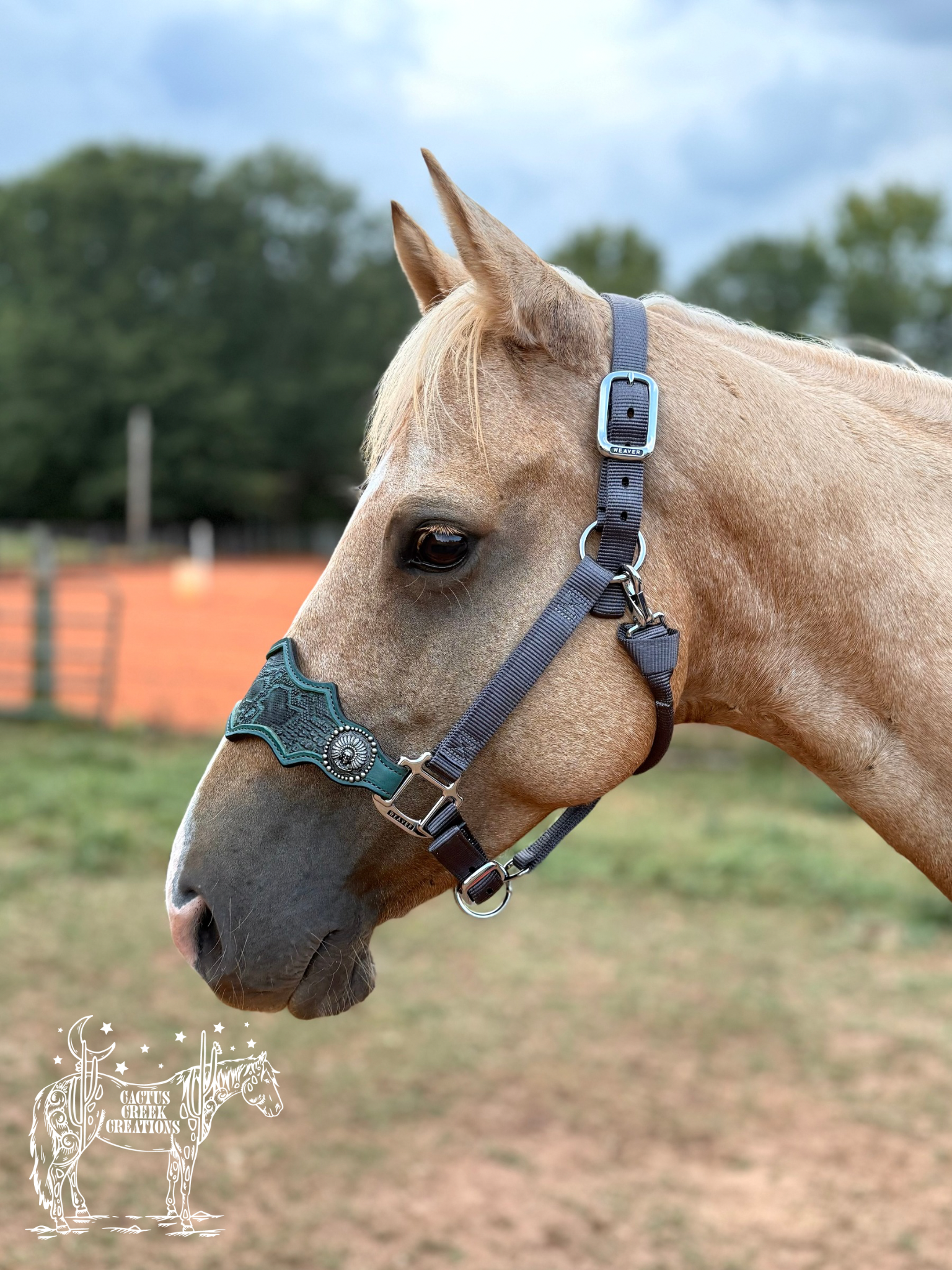 Teal/Grey Snake Print Bronc Nose Halter