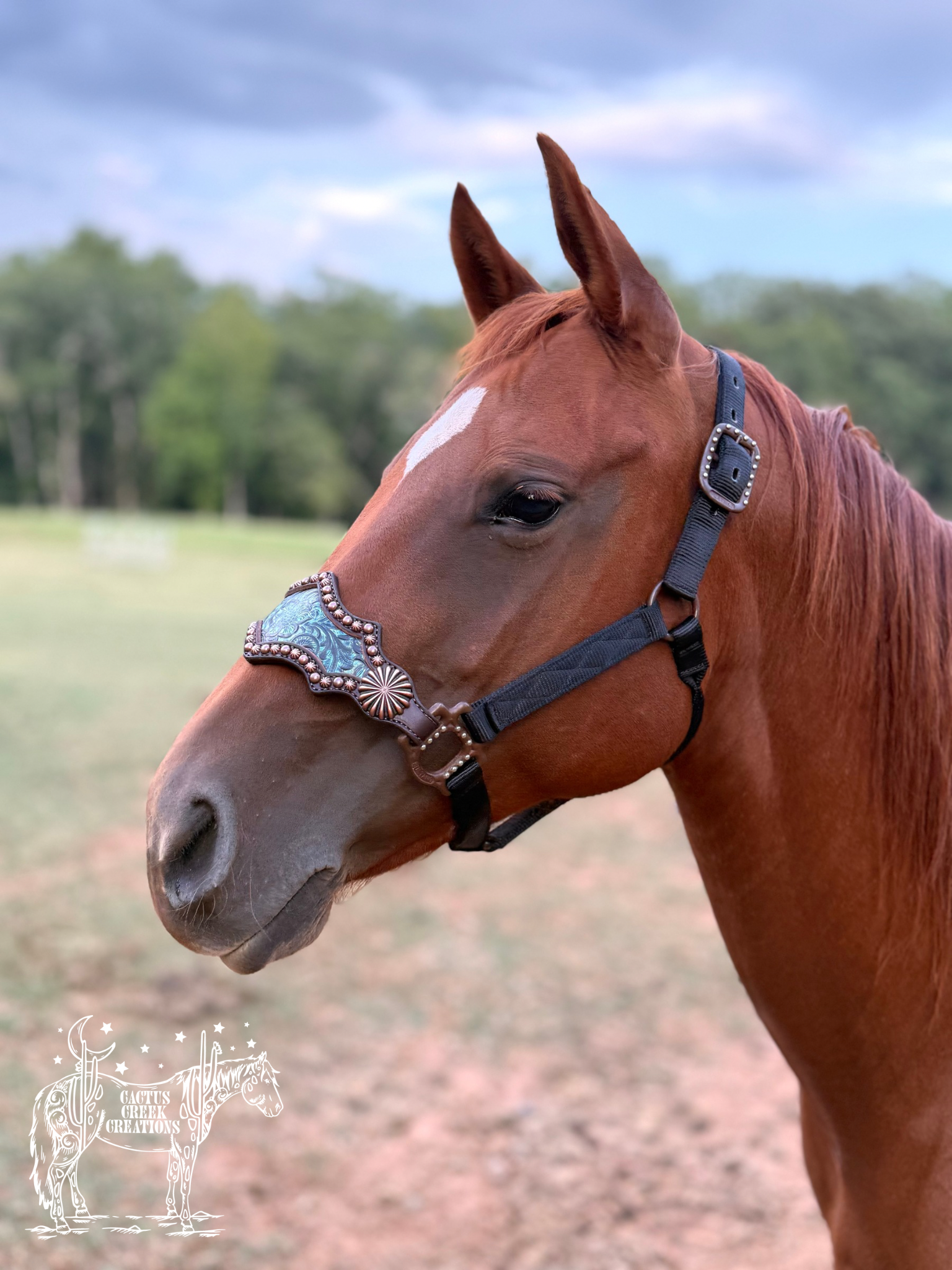 Turquoise Floral Bronc Nose Halter