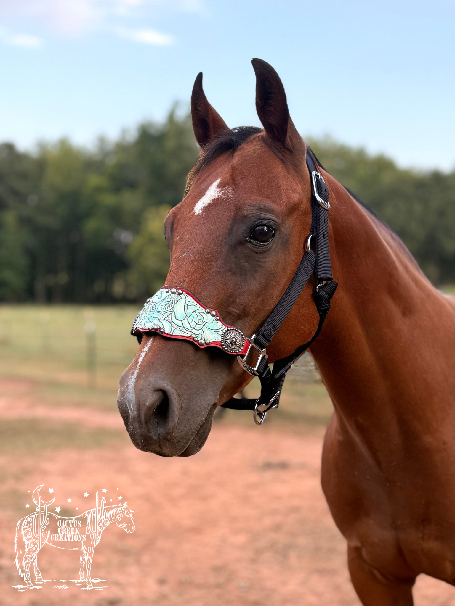 Red/Mint Rose Print Bronc Nose Halter