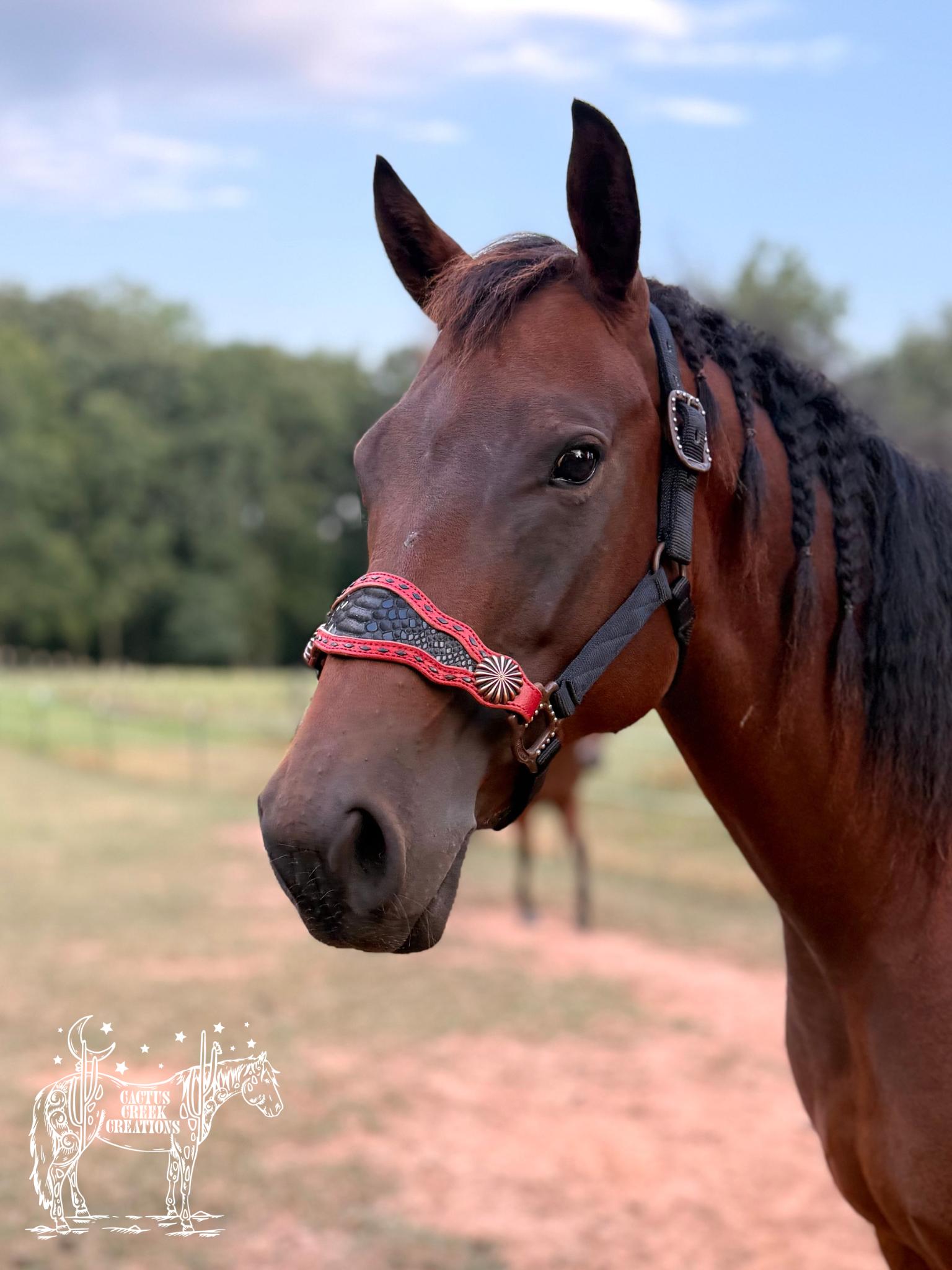 Red/Black Python Bronc Nose Halter