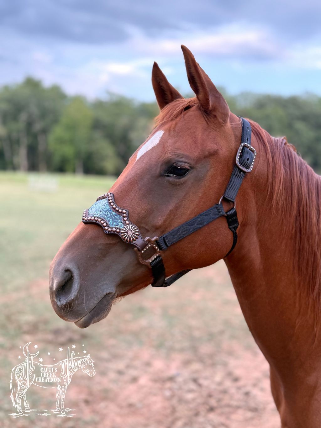 Turquoise Floral Bronc Nose Halter